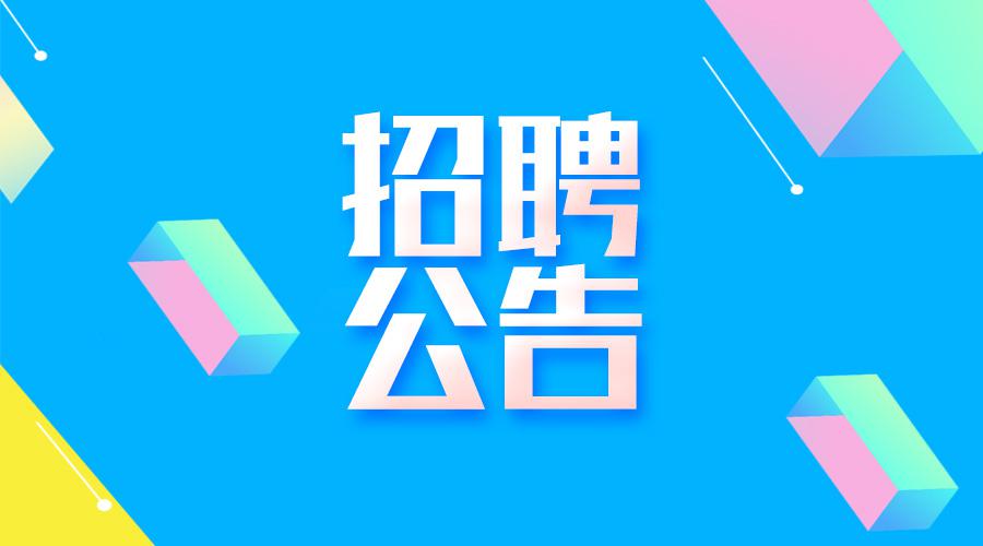 bte365真正的网站教师引进公告