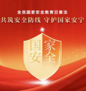 ���ι��Ұ�ȫ�� ����ƽ�������� | 4.15ȫ����Ұ�ȫ������